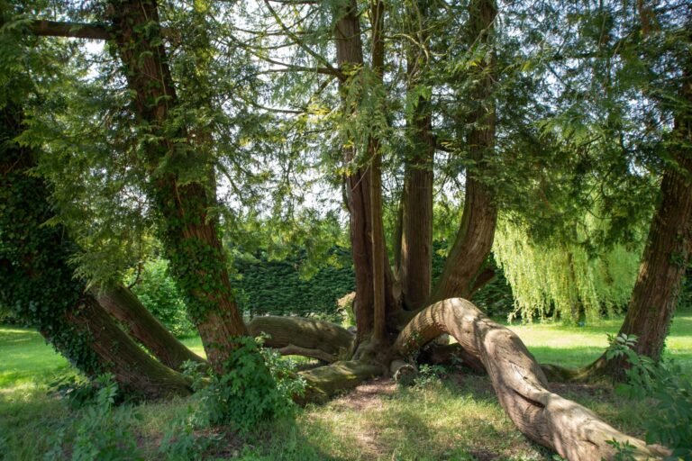 Camping Le Brévedent - Bild 11 Camping Le Brévedent - Bild 11