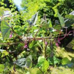 Camping Le Brévedent - Bild 7 Camping Le Brévedent - Bild 7