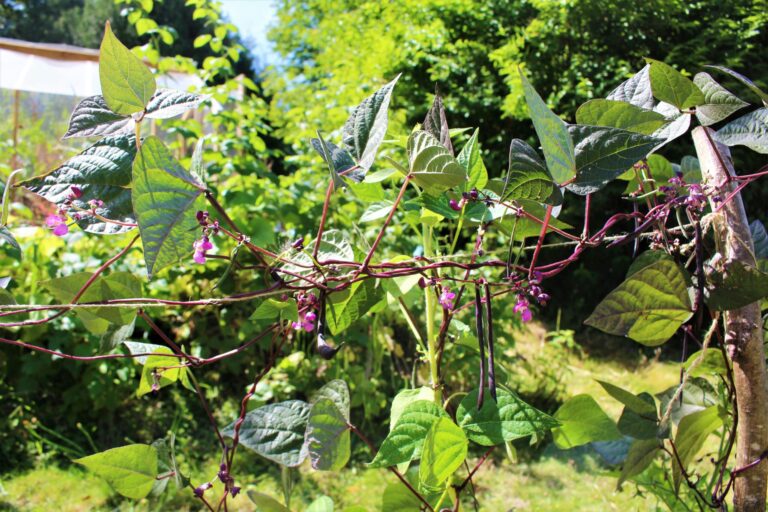 Camping Le Brévedent - Bild 7 Camping Le Brévedent - Bild 7