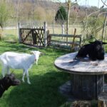 Camping Le Casties - Bild 15