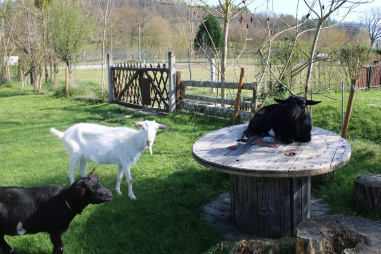 Camping Le Casties - Bild 15