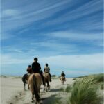 Camping Le Champ Neuf - Bild 18