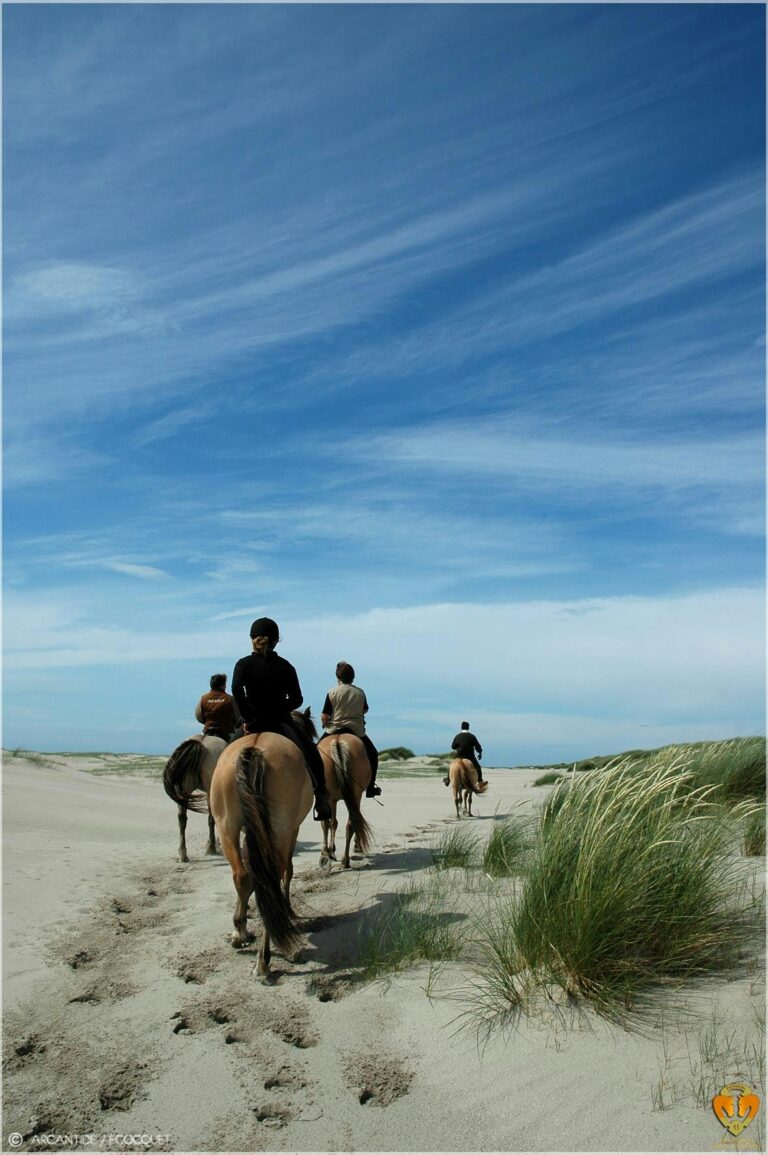 Camping Le Champ Neuf - Bild 18