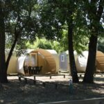 Camping Le Chenal - Bild 4 Camping Le Chenal - Bild 4