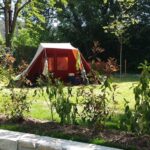 Camping Le Clapas - Bild 5