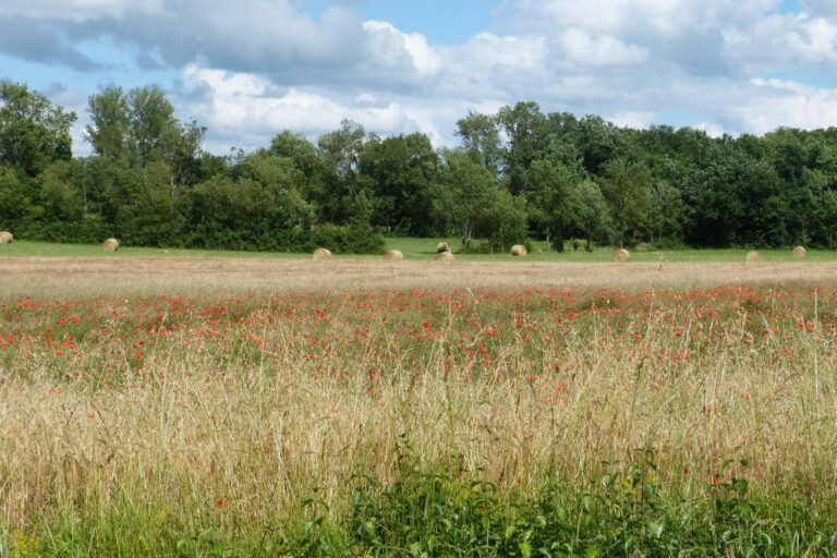 Camping Le Clos De La Lère - Bild 10