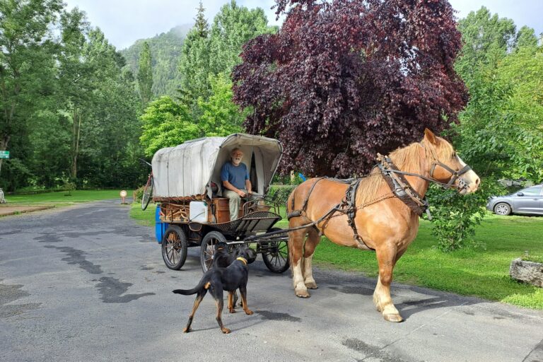 Camping Le Clos Des Peupliers - Bild 6