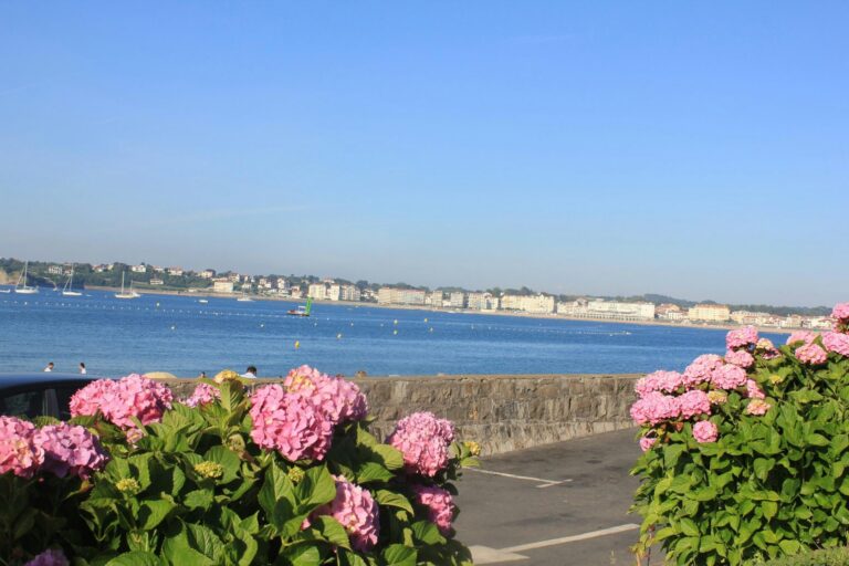 Camping Le Col D'ibardin - Bild 14 Camping Le Col D'ibardin - Bild 14