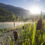 Camping Le Courounba - Bild 3