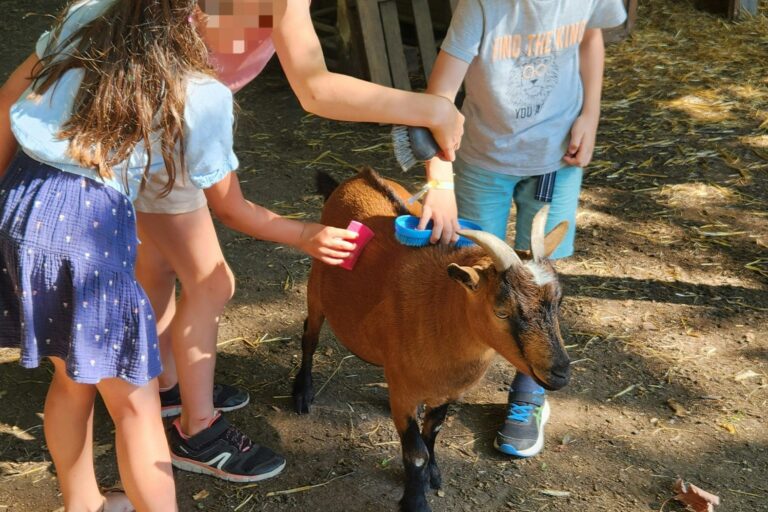 Camping Le Domaine Du Bois Coquet - Bild 13