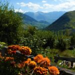 Camping Le Domaine Du Trappeur - Bild 3