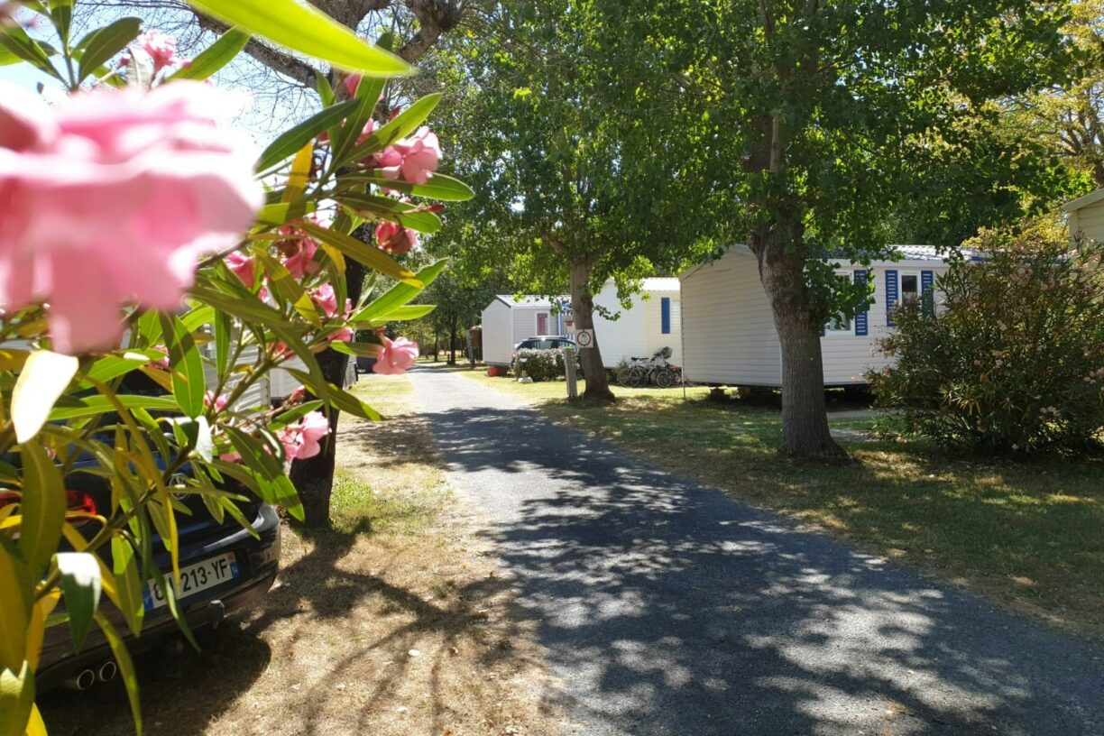 Camping Le Fief Melin - Bild 7 Camping Le Fief Melin - Bild 7