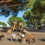 Camping Le Floride & L'embouchure - Bild 8