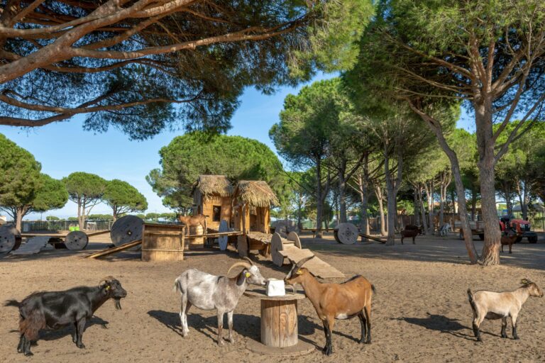 Camping Le Floride & L'embouchure - Bild 8