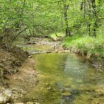 Camping Le Gallo Romain - Bild 14