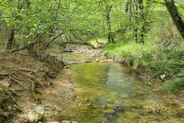 Camping Le Gallo Romain - Bild 14