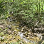 Camping Le Gallo Romain - Bild 15