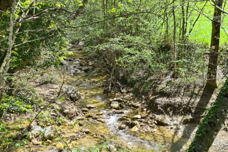 Camping Le Gallo Romain - Bild 15