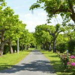 Camping Le Garrit - Bild 6 Camping Le Garrit - Bild 6