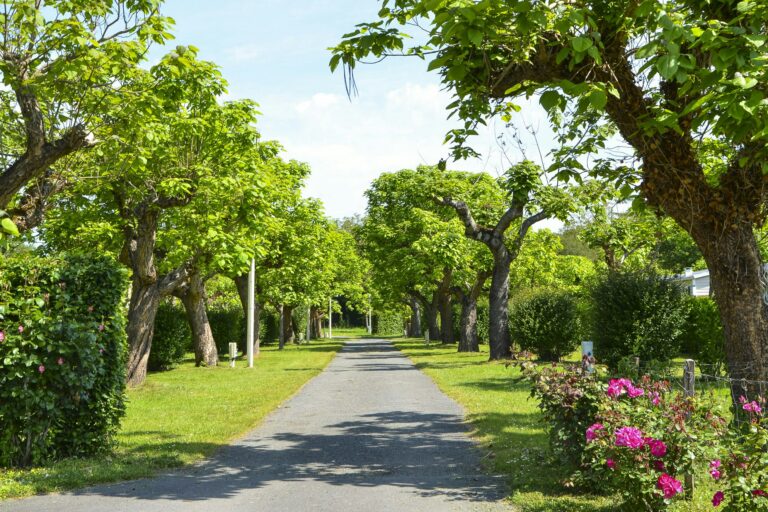 Camping Le Garrit - Bild 6 Camping Le Garrit - Bild 6