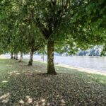 Camping Le Gibanel - Bild 4 Camping Le Gibanel - Bild 4