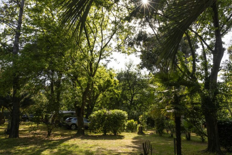 Camping Le Haras - Bild 1 Camping Le Haras - Bild 1