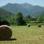 Camping Le Haut Salat - Bild 8