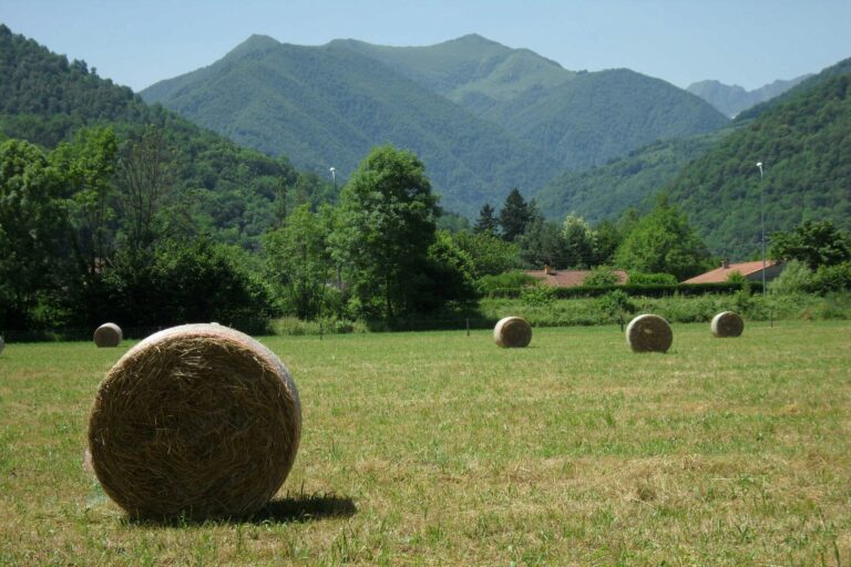 Camping Le Haut Salat - Bild 8