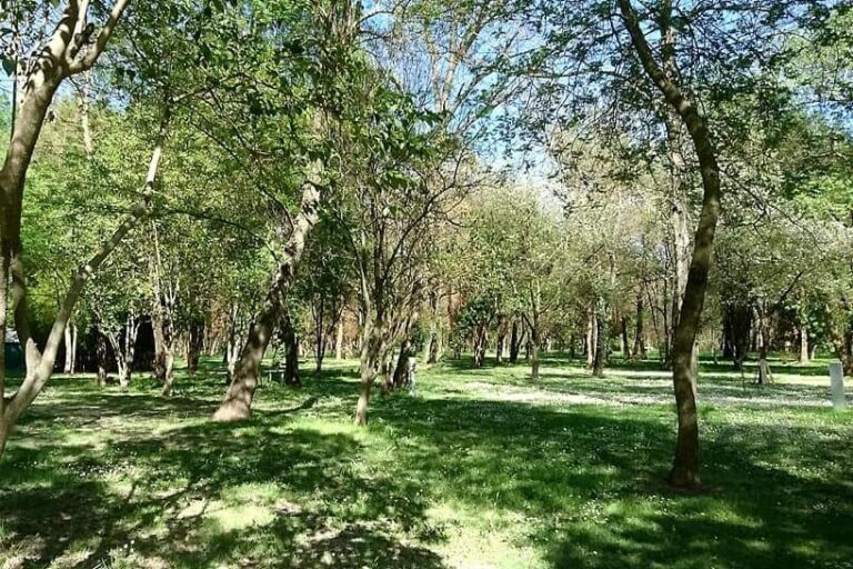 Camping Le Lion - Bild 16