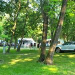 Camping Le Lion - Bild 2