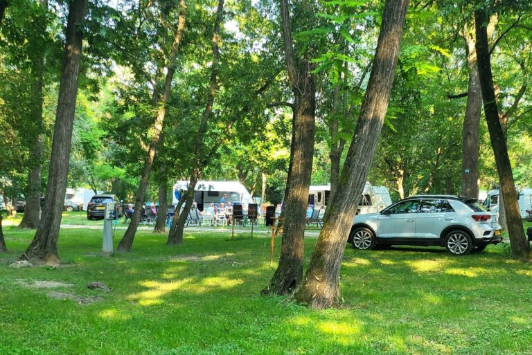 Camping Le Lion - Bild 2