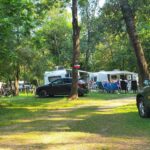 Camping Le Lion - Bild 4