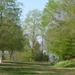 Camping Le Manoir De Bezolle - Bild 10