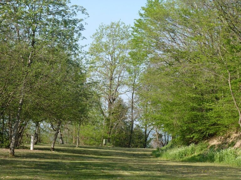 Camping Le Manoir De Bezolle - Bild 10