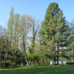 Camping Le Manoir De Bezolle - Bild 11