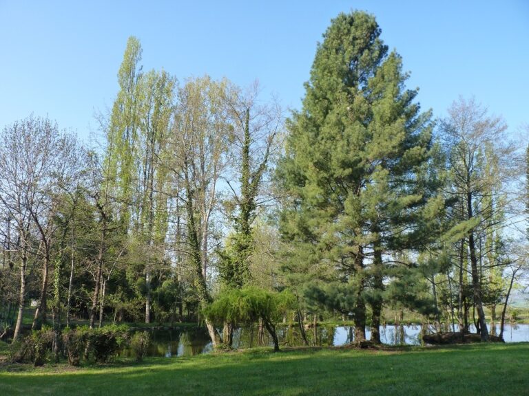 Camping Le Manoir De Bezolle - Bild 11