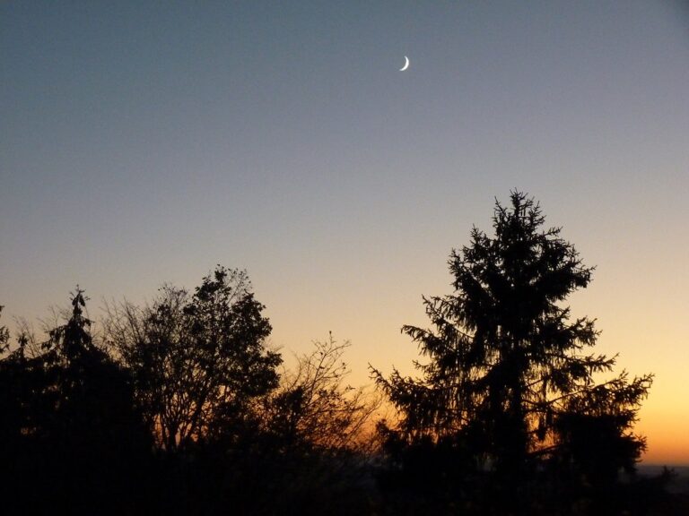 Camping Le Manoir De Bezolle - Bild 14