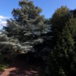 Camping Le Manoir De Bezolle - Bild 3