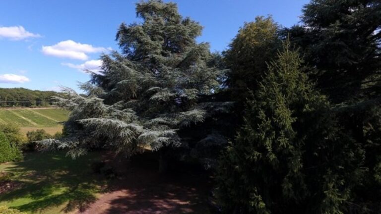 Camping Le Manoir De Bezolle - Bild 3