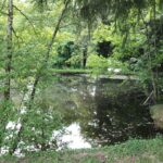 Camping Le Manoir De Bezolle - Bild 5