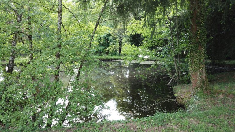 Camping Le Manoir De Bezolle - Bild 5