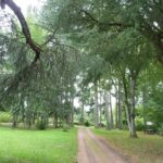 Camping Le Manoir De Bezolle - Bild 7