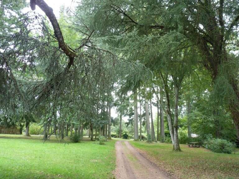 Camping Le Manoir De Bezolle - Bild 7