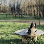 Camping Le Marais Sauvage - Bild 16 Camping Le Marais Sauvage - Bild 16