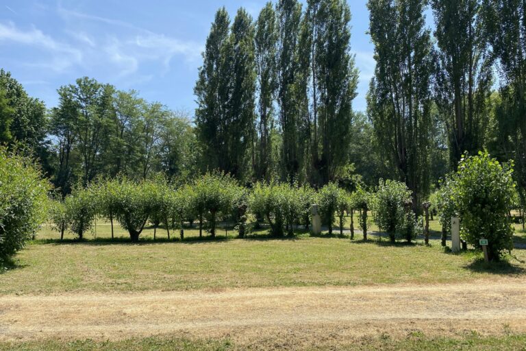 Camping Le Marais Sauvage - Bild 18 Camping Le Marais Sauvage - Bild 18