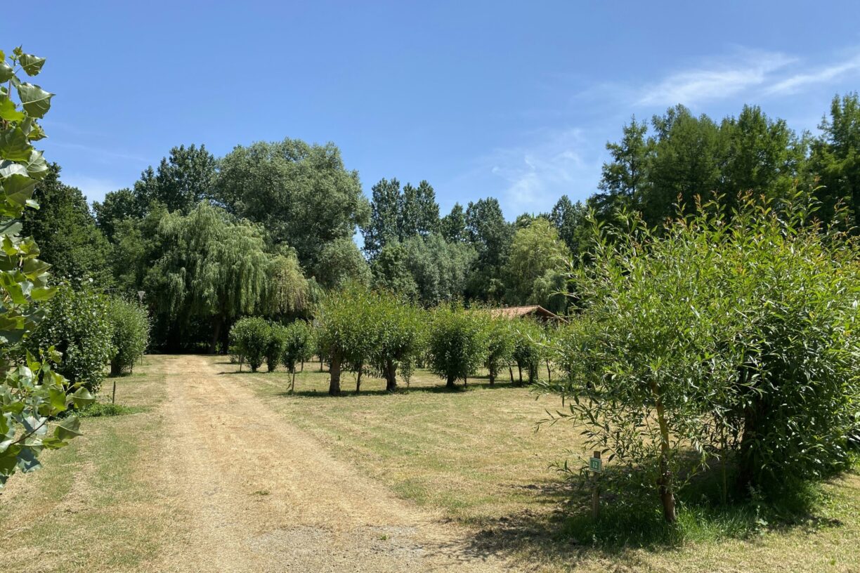 Camping Le Marais Sauvage - Bild 19 Camping Le Marais Sauvage - Bild 19