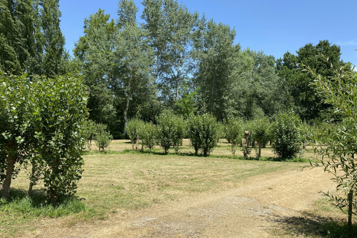 Camping Le Marais Sauvage - Bild 20 Camping Le Marais Sauvage - Bild 20