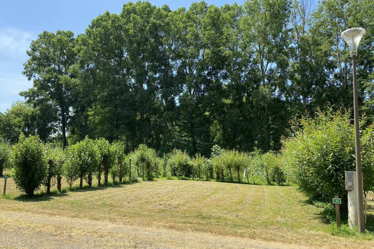 Camping Le Marais Sauvage - Bild 6 Camping Le Marais Sauvage - Bild 6