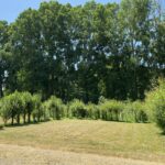 Camping Le Marais Sauvage - Bild 6 Camping Le Marais Sauvage - Bild 6