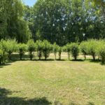 Camping Le Marais Sauvage - Bild 7 Camping Le Marais Sauvage - Bild 7